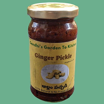 1Kg Ginger Pickle Andhra Style ఆంధ్ర అల్లం పచ్చడి