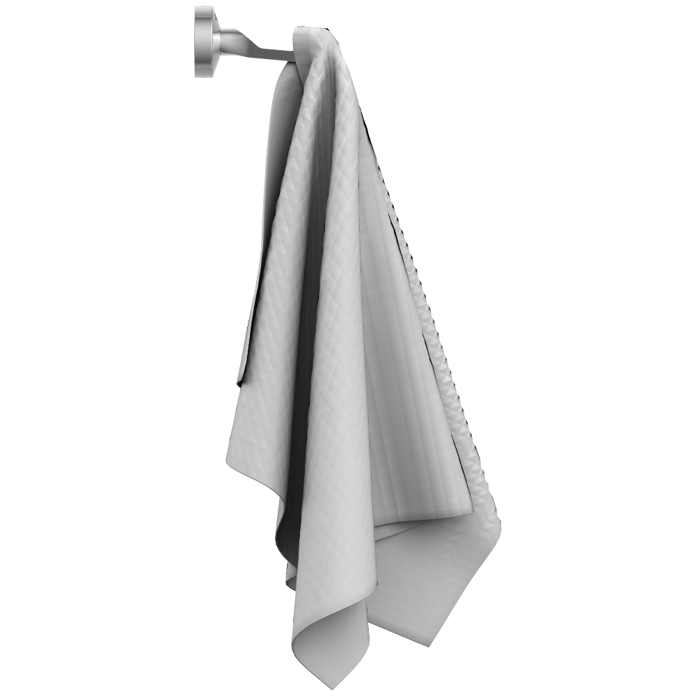 Lexus Robe Hook