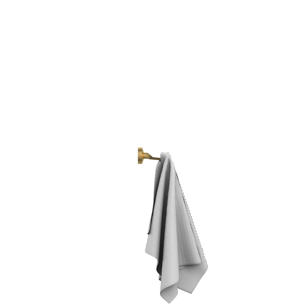 Lexus Robe Hook