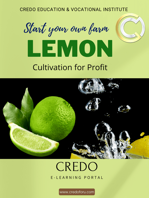 LEMON CULTIVATION LEMON CULTIVATION