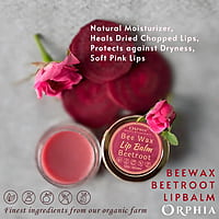 BEEWAX BEETROOT LIPBALM BEEWAX BEETROOT LIPBALM