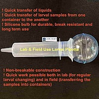 Larval pipettes for mosquito collections Larval pipettes for mosquito collections