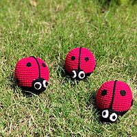 Ladybird Rattle