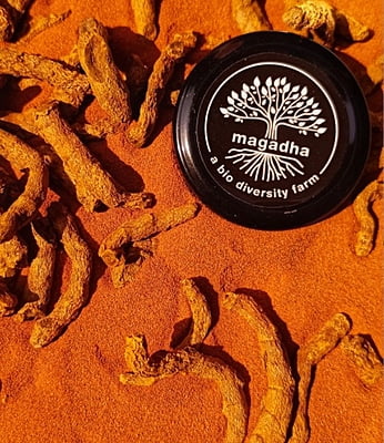 Lakadong Turmeric