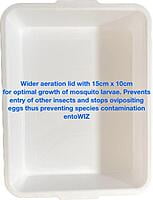 Mosquito Larval Tray only