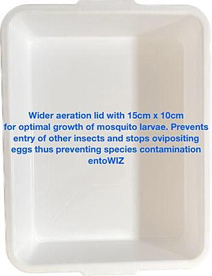 Mosquito Larval Tray only Mosquito Larval Tray only