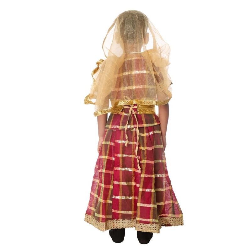 Lehenga Fancy Dress Costume