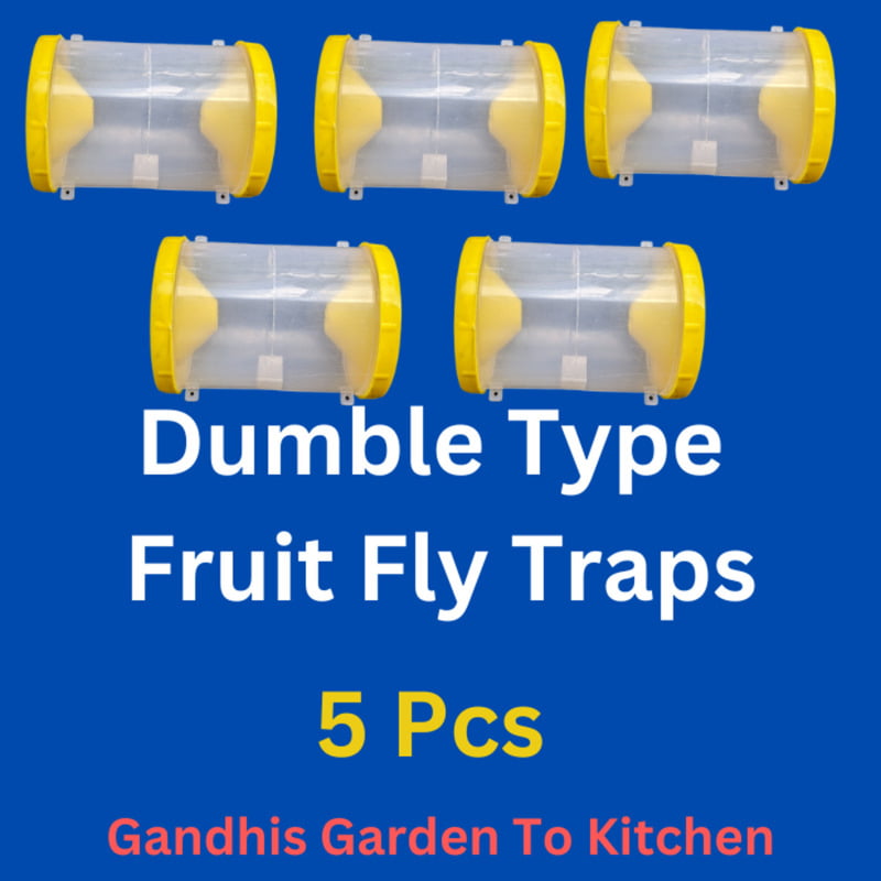 5pcs పండు ఈగ బుట్టలు | Fruit fly traps for veg and fruit gardens dumble type
