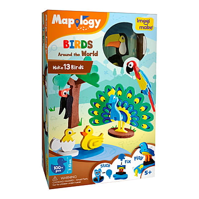 MAKE 13 fun birds