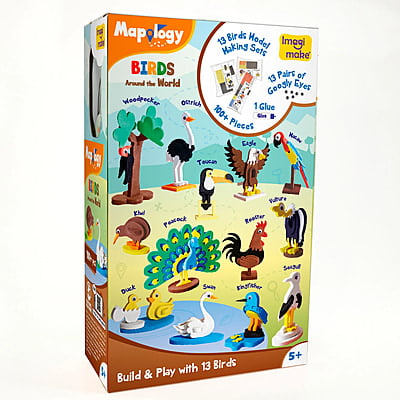 MAKE 13 fun birds MAKE 13 fun birds