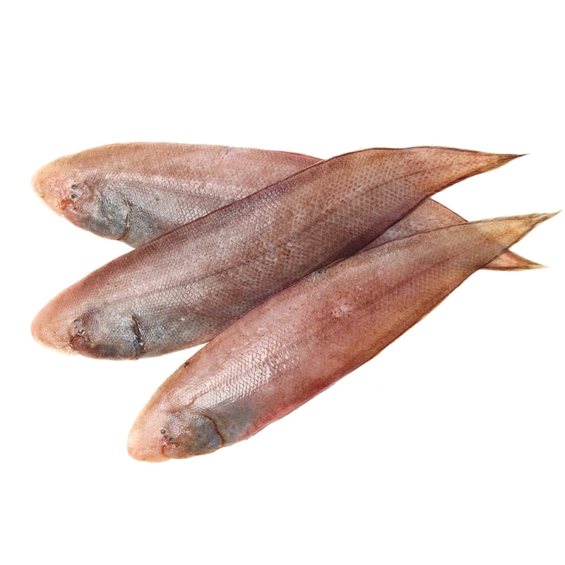 Manthal Large 4-5 pcs/kg -500 gm Manthal Large 4-5 pcs/kg -500 gm