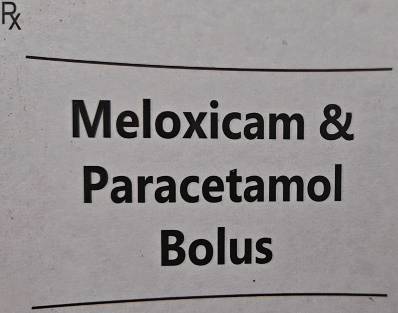 MELOXICAM & PARACETAMOL BOLUS 4s MELOXICAM & PARACETAMOL BOLUS 4s