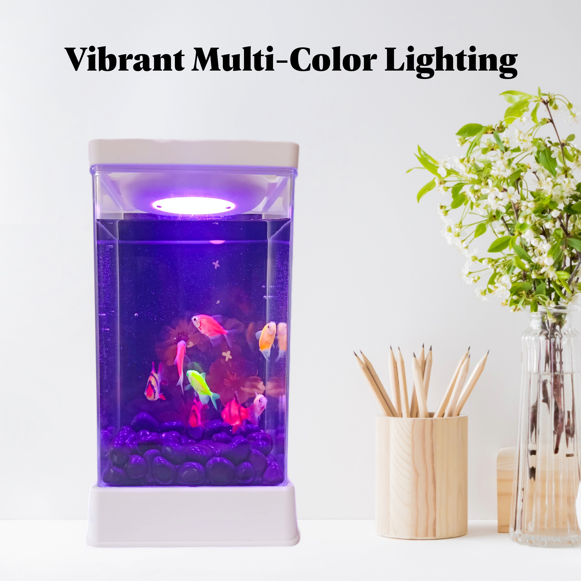 Multi-Color LED Light Small Fish Tank