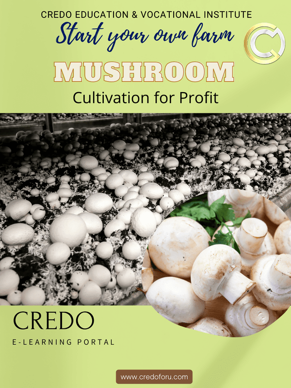MUSHROOM CULTIVATION MUSHROOM CULTIVATION