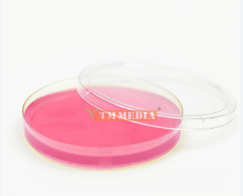 MacCONKEY AGAR PLATE MacCONKEY AGAR PLATE
