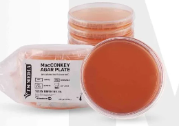 MacCONKEY AGAR PLATE MacCONKEY AGAR PLATE