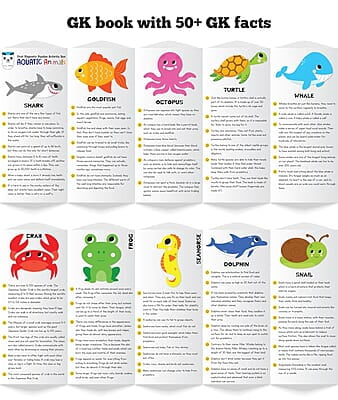 Magnetic Puzzles Aquatic Animals Magnetic Puzzles Aquatic Animals