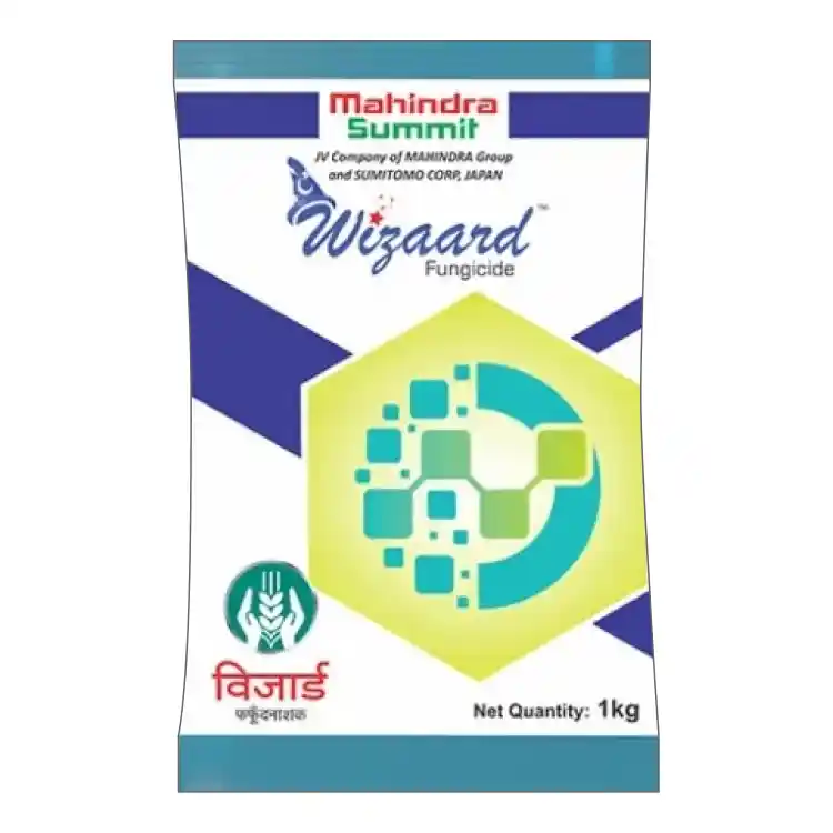 WIZAARD 600 GM