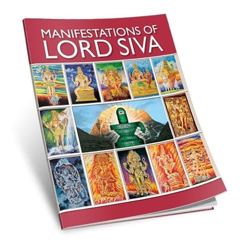 Manifestations Of Lord Siva
