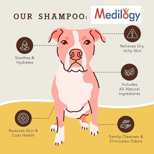 Medi Quick Grooming Foam Shampoo โ Strawberry Formula for Instant Clean and Care Medi Quick Grooming Foam Shampoo โ Strawberry Formula for Instant Clean and Care