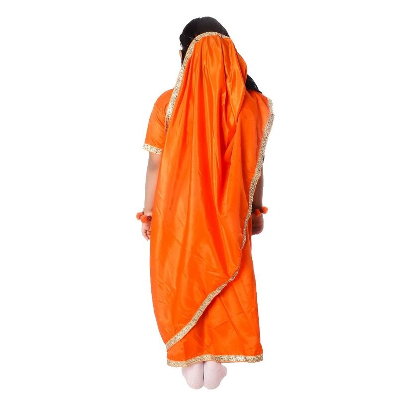 Meera Bai Fancy Dress Costume