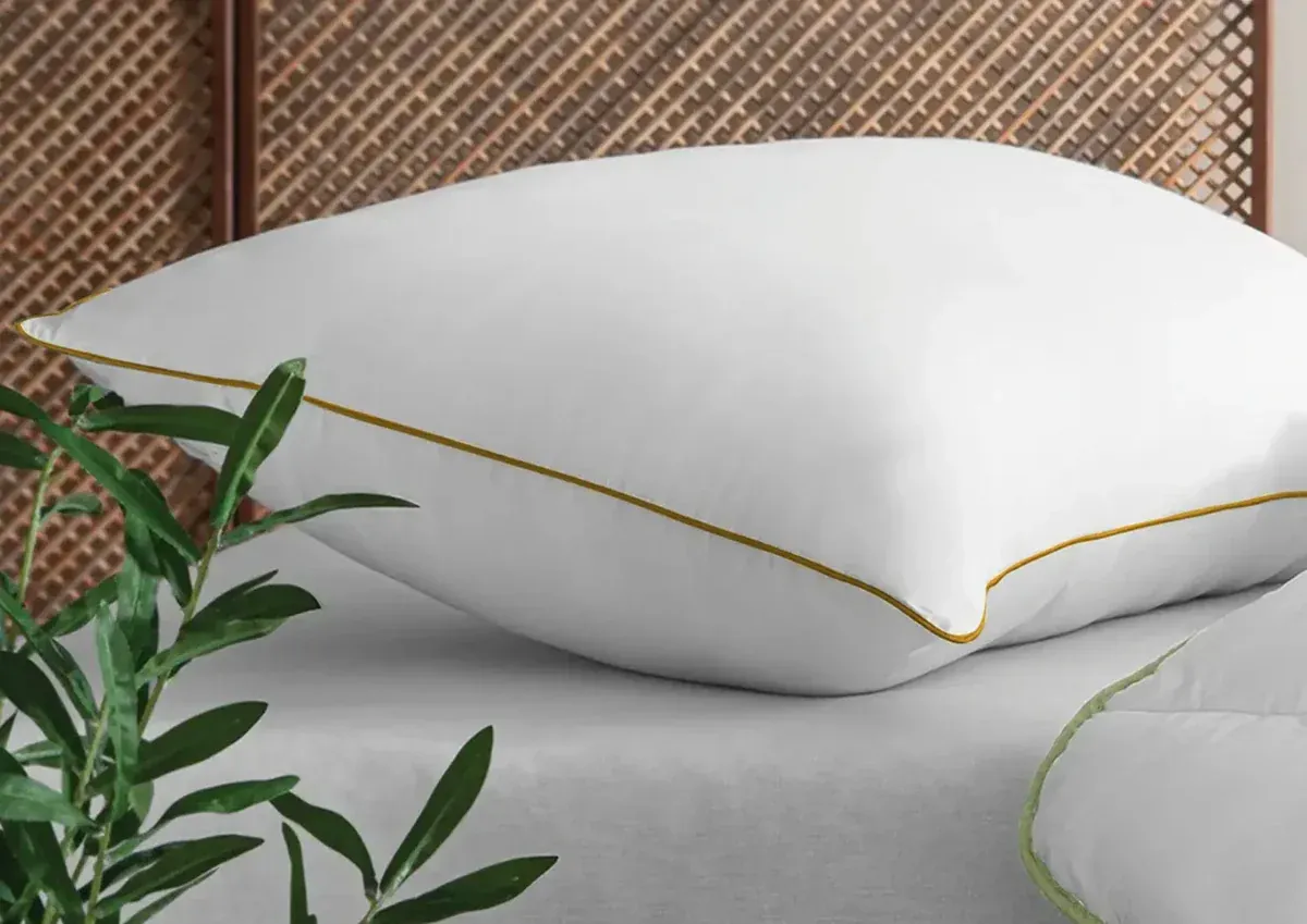 Sofrito Pillow - Microfiber (Divine)