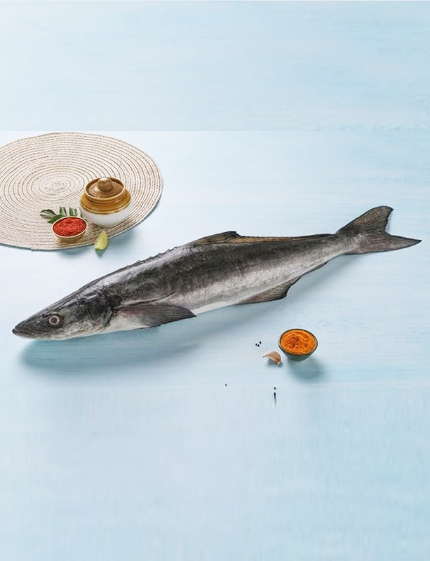 MOTHA / KING FISH- 500g MOTHA / KING FISH- 500g