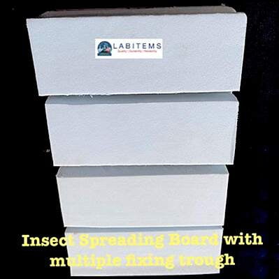 Insect Spreading Board for pinning multiple insects Insect Spreading Board for pinning multiple insects