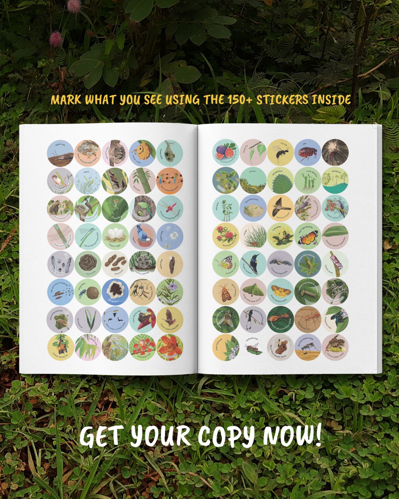 Be a Neighborhood Naturalist : Explore Nature With Activities and Experiments Be a Neighborhood Naturalist : Explore Nature With Activities and Experiments
