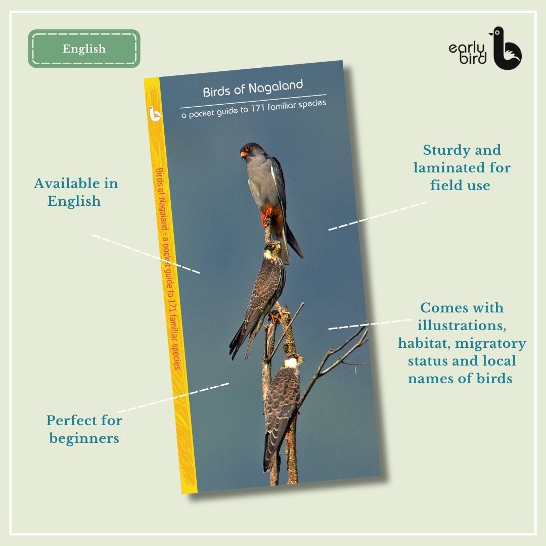 Early Bird Pocket Guides Early Bird Pocket Guides