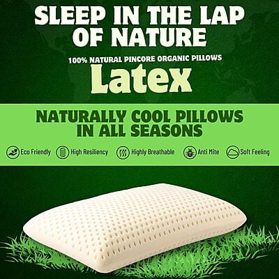 Neev Natural Organic Pincore Latex Pillow