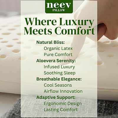 Neev Natural Organic Pincore Latex Pillow