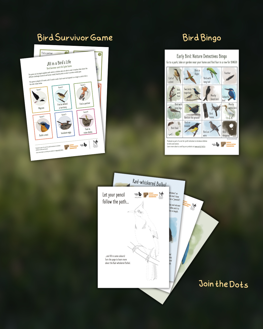 Be a Neighborhood Naturalist : Explore Nature With Activities and Experiments Be a Neighborhood Naturalist : Explore Nature With Activities and Experiments