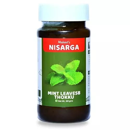 Nisarga Mint Leaves Thokku- 300g