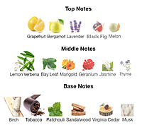 No.16 For Men: Green Smoke No.16 For Men: Green Smoke