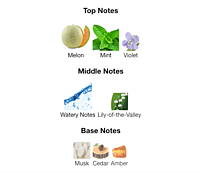 AQA No.57: The Fresh, Calming Unisex Fragrance AQA No.57: The Fresh, Calming Unisex Fragrance