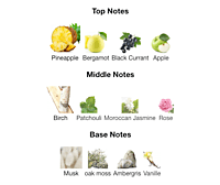 Alpha No.08 For Men Alpha No.08 For Men