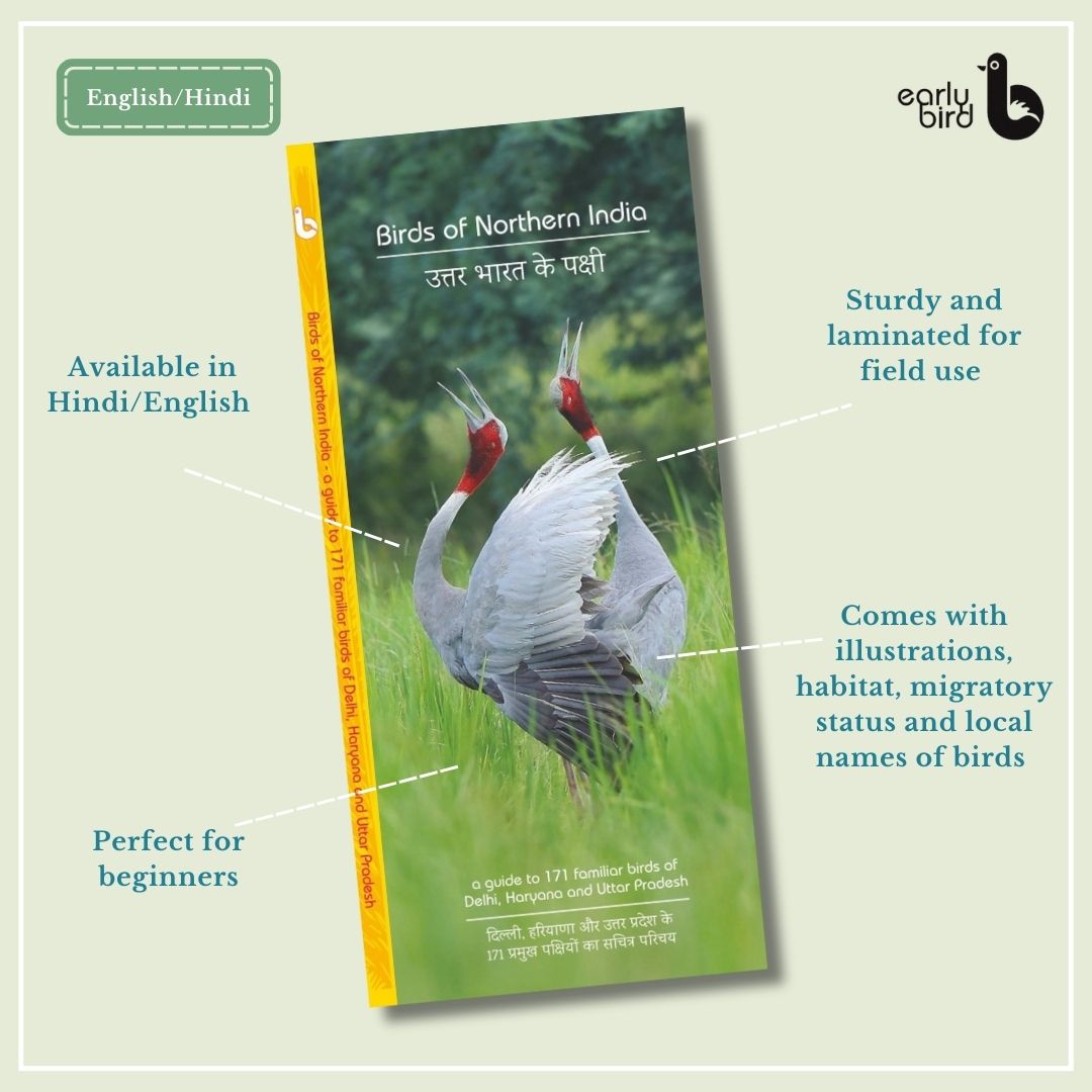 Early Bird Pocket Guides Early Bird Pocket Guides