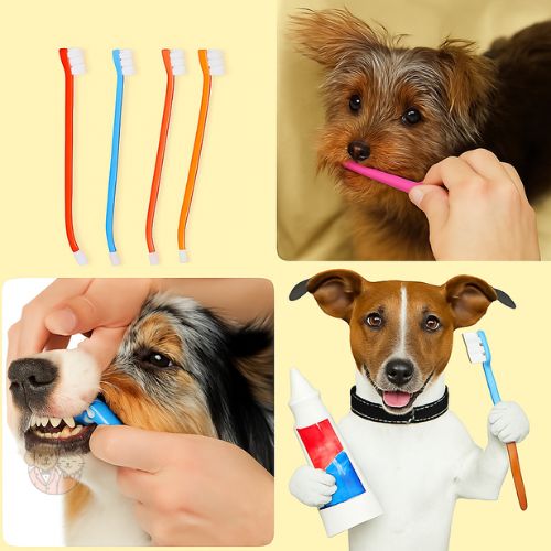 Nunbell Dental Care Kit for Dogs & Puppies โ Toothbrush & Mint Toothpaste Set (95g) Nunbell Dental Care Kit for Dogs & Puppies โ Toothbrush & Mint Toothpaste Set (95g)