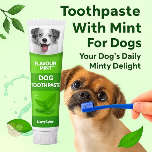 Nunbell Oral Care Toothpaste – Fresh Mint Dental Gel for Dogs & Cats (95g)