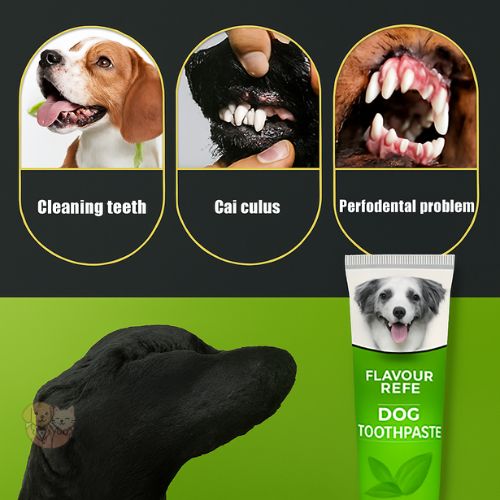 Nunbell Oral Care Toothpaste – Fresh Mint Dental Gel for Dogs & Cats (95g)