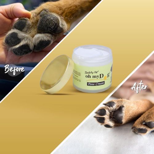 Oh My Dog Paw Cream โ Heals, Moisturizes & Softens Dry Paws for Dogs & Cats (100ml) Oh My Dog Paw Cream โ Heals, Moisturizes & Softens Dry Paws for Dogs & Cats (100ml)