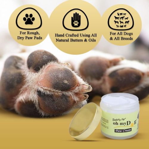 Oh My Dog Paw Cream โ Heals, Moisturizes & Softens Dry Paws for Dogs & Cats (100ml) Oh My Dog Paw Cream โ Heals, Moisturizes & Softens Dry Paws for Dogs & Cats (100ml)