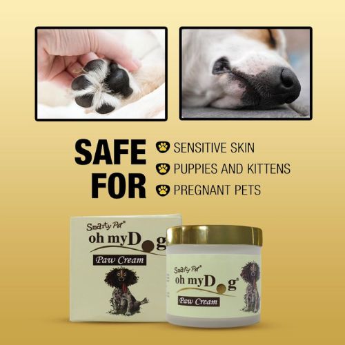Oh My Dog Paw Cream โ Heals, Moisturizes & Softens Dry Paws for Dogs & Cats (100ml) Oh My Dog Paw Cream โ Heals, Moisturizes & Softens Dry Paws for Dogs & Cats (100ml)