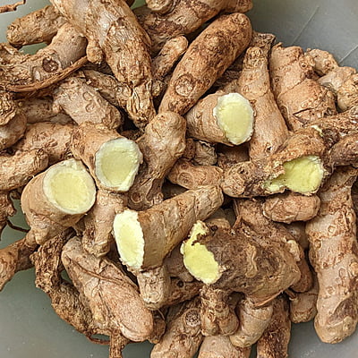 1kg Mango Ginger (Curcuma Amada /Amba Haldi) Fresh Root-bulb/Seeds for Growing