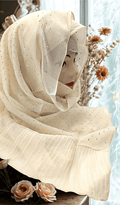 Zera Premium Malaysian Georgette Shimmer Border Embellished Stone and Frill