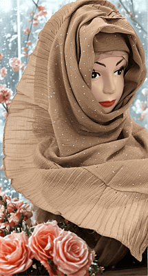 Zera Premium Malaysian Georgette Shimmer Border Embellished Stone and Frill