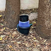 Gravid Oviposition Trap for Mosquitoes LI-MR-46 Gravid Oviposition Trap for Mosquitoes LI-MR-46