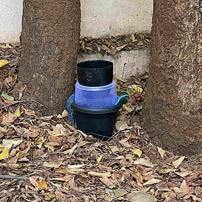 Gravid Oviposition Trap for Mosquitoes LI-MR-46 Gravid Oviposition Trap for Mosquitoes LI-MR-46