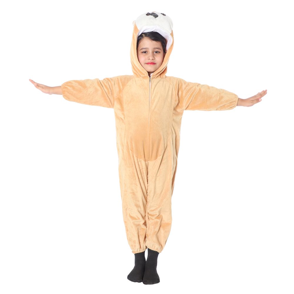 Owl Bird Fancy Dress Costume Owl Bird Fancy Dress Costume